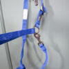 Loesdau Halfter blau WB – Bild 3