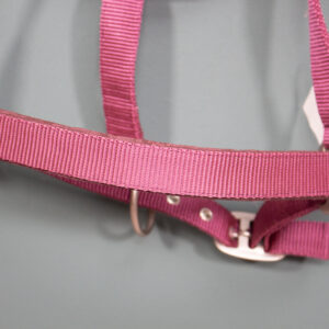 Halfter bordeaux WB