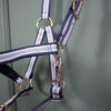 Equest Halfter blau COB – Bild 3
