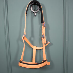 Eskadron Halfter Dornschnalle soft peach XFull