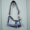 Ride now Halfter navy Pony