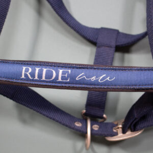 Ride now Halfter navy Pony