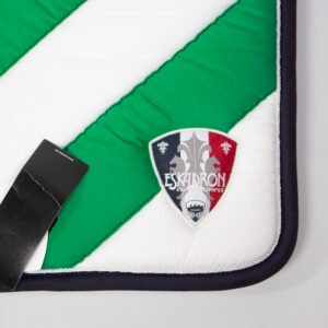 Eskadron Schabracke Bicolor Pad grün DR