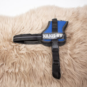 Julius K9 Hundegeschirr blau S