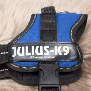 Julius K9 Hundegeschirr blau S