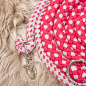 Longierhilfe rot WB