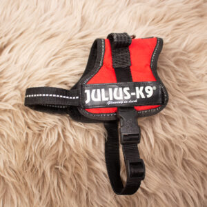 Julius K9 Hundegeschirr rot XS