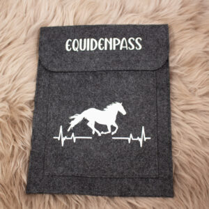 Equidenpass Hülle grau