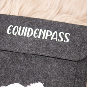 Equidenpass Hülle grau