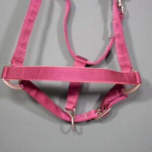 Waldhausen Halfter bordeaux WB