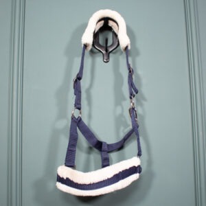 Showmaster Halfter Supergünstig navy Shetty