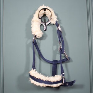 Halfter navy Pony
