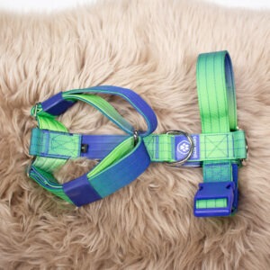 Spark Paws Hundegeschirr lila/grün S