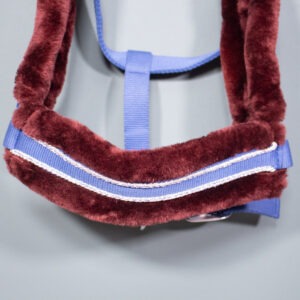 Halfter blau WB