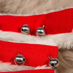 Halfter Schoner Set Weihnachten