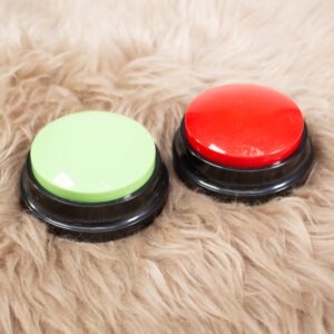 Hunde Buzzer