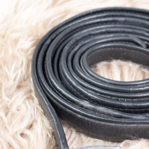 Passier Steigbügelriemen schwarz 140 cm