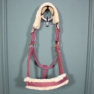 Felix Bühler Halfter Sparkling rosewood COB