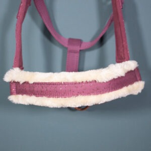 Felix Bühler Halfter Sparkling rosewood COB