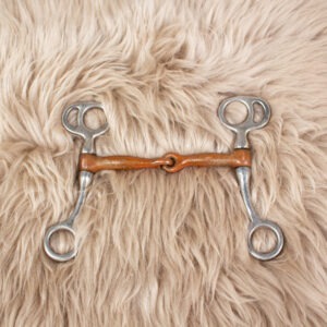 Western Bit silber 13