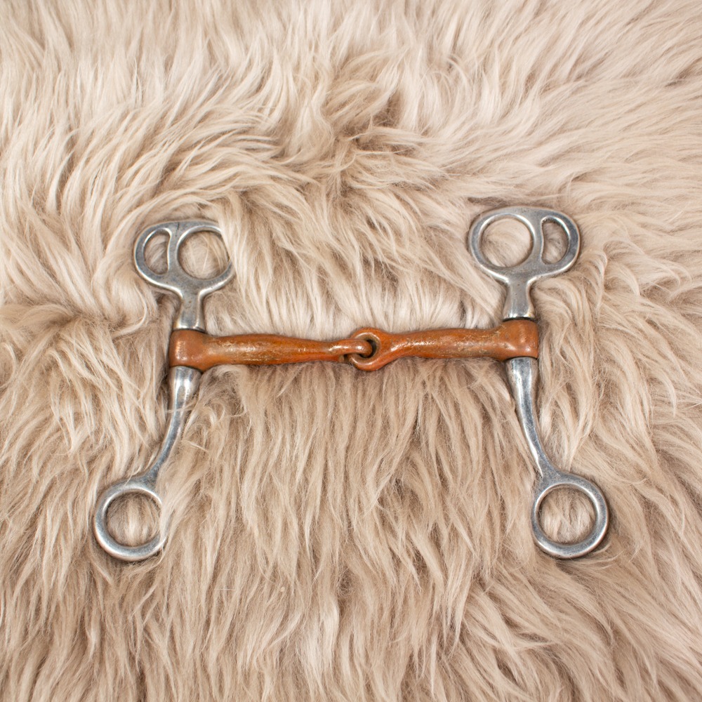 Western Bit silber 13