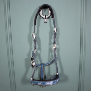 Eskadron Halfter petrol WB