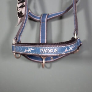 Eskadron Halfter petrol WB