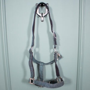 Felix Bühler Halfter dunkelgrün WB