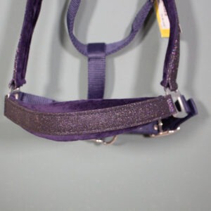 Felix Bühler Halfter navy WB