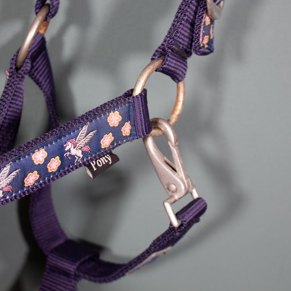 Busse Halfter navy Pony – Bild 3