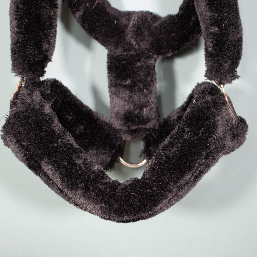 Showmaster Halfter Protection schwarz WB – Bild 2