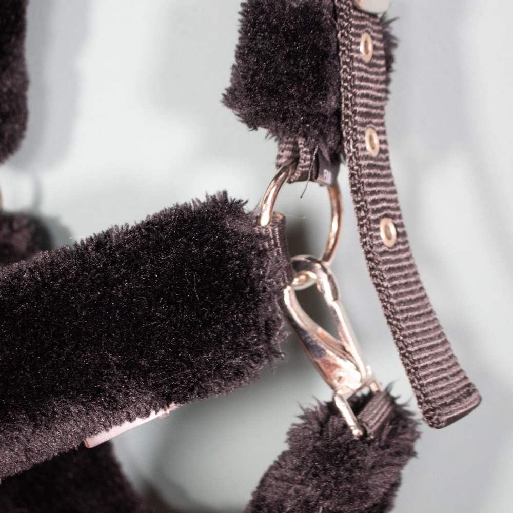 Showmaster Halfter Protection schwarz WB – Bild 3