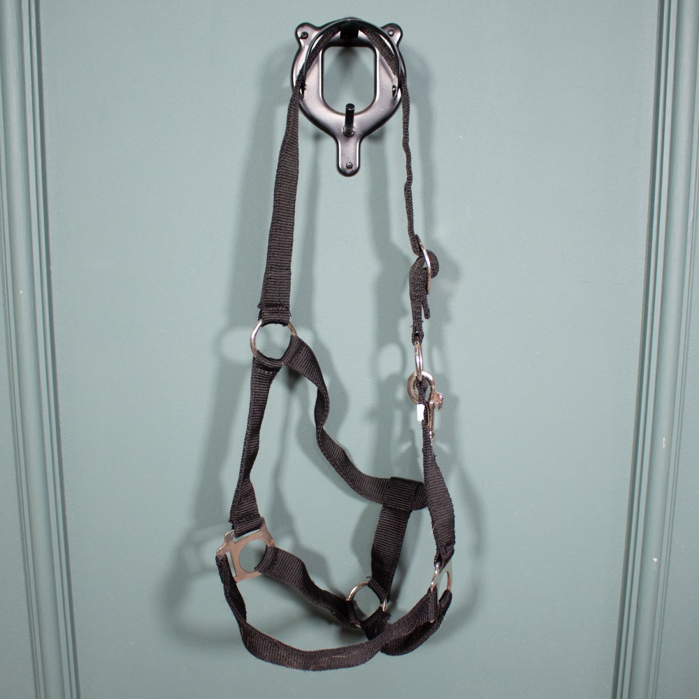 Loesdau Halfter schwarz Pony