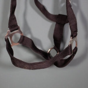 Loesdau Halfter schwarz Pony