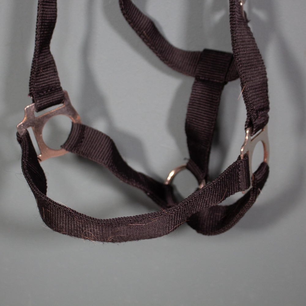 Loesdau Halfter schwarz Pony – Bild 2