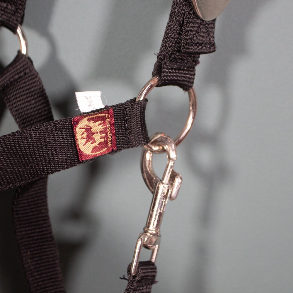 Loesdau Halfter schwarz Pony – Bild 3