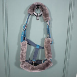 Felix Bühler Halfter blau COB