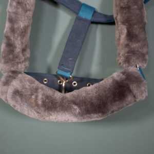 Felix Bühler Halfter blau COB