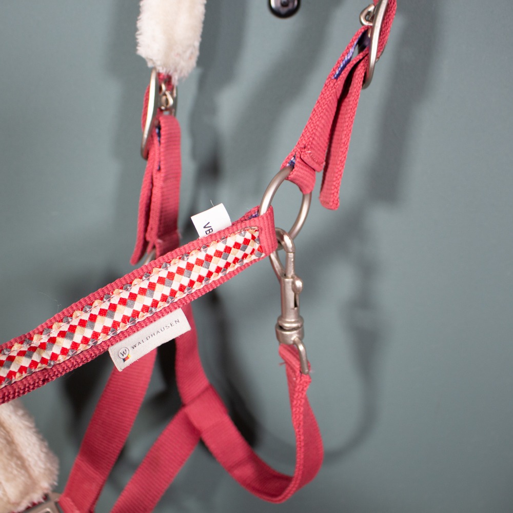 Waldhausen Halfter rosa COB – Bild 3