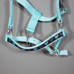 Showmaster Halfter türkis Shetty