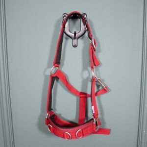 Longierhalfter rot Pony