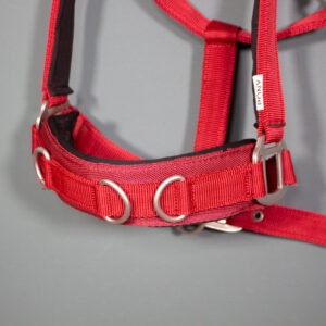 Longierhalfter rot Pony