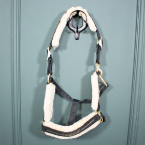 Eskadron Heritage Halfter Glossy Doublepin antique green WB