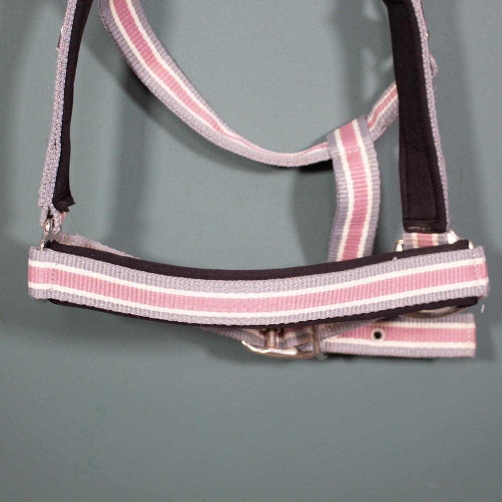 Showmaster Halfter rosa Pony – Bild 2