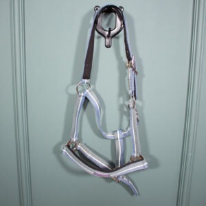 Felix Bühler Halfter blau COB