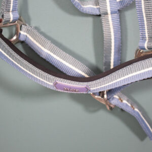 Felix Bühler Halfter blau COB