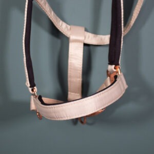 Felix Bühler Halfter beige WB