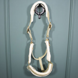 PS of Sweden Halfter grün COB