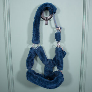 Showmaster Halfter Protection blau COB