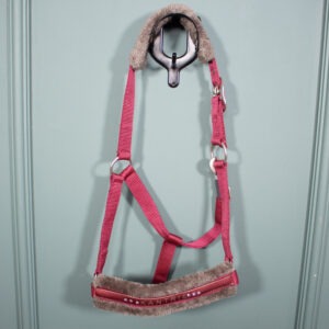 Kantrie Halfter rot COB